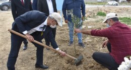 TARSUS Belediyesinin Hayata Geçirdiği Son 51 PROJENİN Hizmetinden Tarsus Halkı Memnun Kaldı TARSUS Belediye Başkanı Dr. Haluk BOZDOĞAN; “HAYATA Geçirdiğimiz HİZMET ve PROJE Sayısı 106’YA Ulaştı” dedi. Hizmet Sıralaması YAZIDA