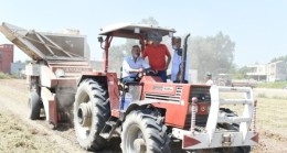 TARSUS Belediyesinden BİR İLK; “Milli Ayşehanım Fıstığı” Hasadı Başarıyla Yapıldı