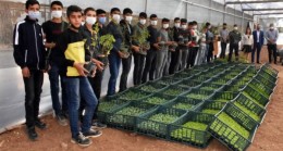 TARSUS Belediyesi FİDE İsteyen Öğretmen ve Öğrencilerine 20 BİN Fide Verdi