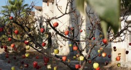 2. AKDENİZ BİENALİ 4. TARSUS FESTİVALİNDE SANATSEVERLERLE BULUŞUYOR