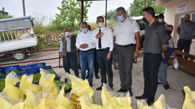 TARSUS BELEDİYESİ DOLU YAĞIŞININ YARALARINI SARIYOR  Tarsus Belediye Başkanı Dr. Haluk BOZDOĞAN; 7 TON GÜBRE ve 50 BİN ATA TOHUMUNDAN FİDEYİ Ücretiz Olarak ÇİFTÇİYE Dağıttırdı