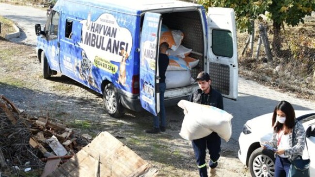 BOZDOĞAN Hiç Durmuyor; TARSUS Belediyesinden KÖYLÜLERE SÜT YEMİ Desteği