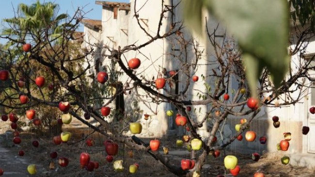 2. AKDENİZ BİENALİ 4. TARSUS FESTİVALİNDE SANATSEVERLERLE BULUŞUYOR