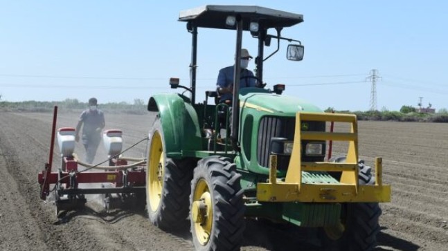 BEYAZ ALTIN TARSUS TOPRAKLARINDA YENİDEN IŞILDIYOR  Tarsus Belediye Başkanı Dr. Haluk BOZDOĞAN; Tarsus’un Yok Edilen Üretim Geçmişine Sahip Çıkıyor. Tarlalar Yeniden BEYAZ ALTIN Verecek. Dr. Haluk BOZDOĞAN; Tarsus Pamuğuna Hayat Vermek İçin Traktör Kullandı, Toprağı Sürdü.