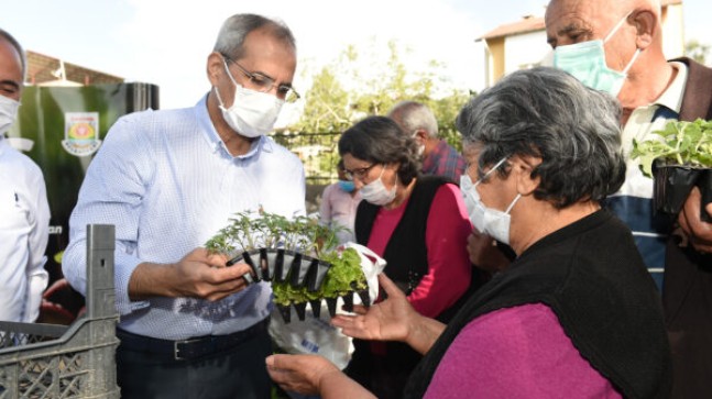 TARSUS Belediye Başkanı Dr. Haluk BOZDOĞAN; Tarsus’ta Yapılmayan HİZMETLERİ Yapmaya Devam Ediyor. ATA TOHUMU ile YETİŞTİRİLEN 300 BİN ADET FİDE ÜRETİCİLERE ÜCRETSİZ DAĞITILDI