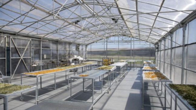 MERSİN Büyükşehir Belediyesinin Takdir Toplayan Sosyal Projeleri HİBE DESTEĞİ ile Hayat Buluyor