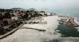 MARMARA DENİZİ ÖLMESİN. Deniz Salyasına Karşı Tüm Kurum ve Kuruluşları Göreve Davet Ediyoruz İmza Kampanyası
