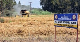 TARSUS Belediye Başkanı Dr. Haluk BOZDOĞAN’ın MİRAS ATA TOHUMU Projesi Kapsamında 7 Dönüm Arazide 3 TON Kunduru Buğdayı Hasat Edildi