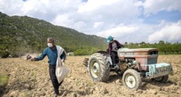 MERSİN Büyükşehir Belediyesi GÜLNAR’daki 34 Üreticiye 2 BİN 40 Kilo Tohum Desteği Verdi. Büyükşehir’in Tarım Çalışmaları GENÇLERİ Tarıma Yönlendiriyor