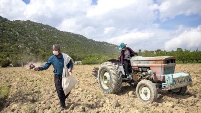 MERSİN Büyükşehir Belediyesi GÜLNAR’daki 34 Üreticiye 2 BİN 40 Kilo Tohum Desteği Verdi. Büyükşehir’in Tarım Çalışmaları GENÇLERİ Tarıma Yönlendiriyor