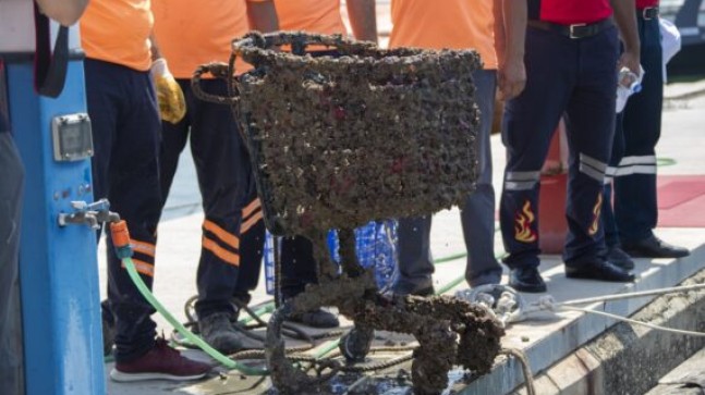 Mersin Büyükşehir Belediyesi, Çevre Haftasında MAVİ BAYRAKLI Tek Tesis Olan MARİNA’da Temizlik Yaptı