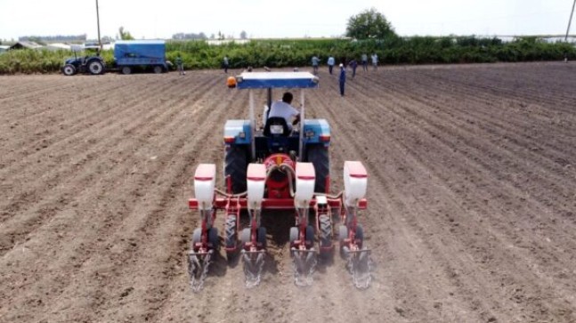 TARSUS Belediye Başkanı Dr. Haluk BOZDOĞAN; “Ata Tohumu Miras” Tarım Projesinde 25 Dekara 5 Dekar ANP Yerli Tohum Soya Fasulyesi Ekimi Yaptırdı
