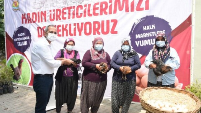 TARSUS Belediye Başkanı Dr. Haluk BOZDOĞAN’dan ÜRETKEN KADINLARA POZİTİF AYRIMCILIK. 200 Kadına 5 BİN Canlı Tavuk Dağıtıldı