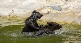 MERSİN Büyükşehir, TARSUS DOĞA PARKI CANLILARINI Sıcak Günlerde Serinletiyor