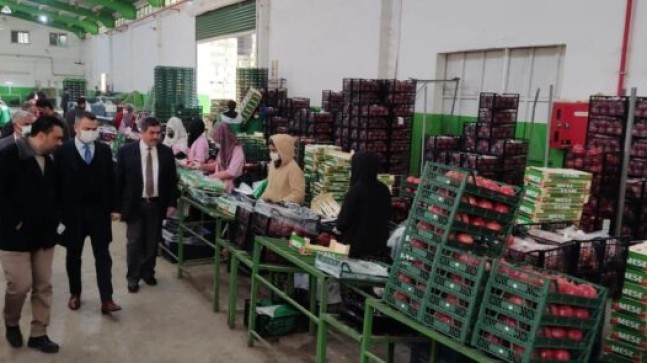 TARSUS Kaymakamı Kadir Sertel OTÇU, YAŞ MEYVE ve SEBZE Paketleme İşletmelerini Ziyaret Etti