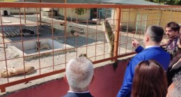 TARSUS Kaymakamı Kadir Sertel OTCU, Tarsus Belediyesi Hayvan Barınağını Ziyaret Etti