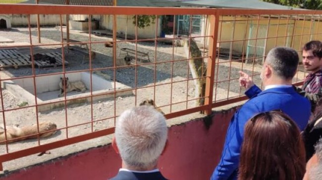 TARSUS Kaymakamı Kadir Sertel OTCU, Tarsus Belediyesi Hayvan Barınağını Ziyaret Etti