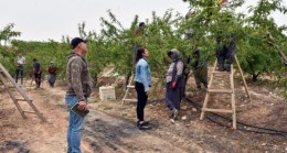 TARSUS Belediyesi, DOĞRU ve SÜRDÜRÜLEBİLİR TARIM İçin Çiftçileri Bilgilendiriyor