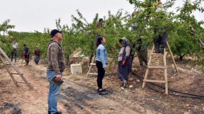 TARSUS Belediyesi, DOĞRU ve SÜRDÜRÜLEBİLİR TARIM İçin Çiftçileri Bilgilendiriyor