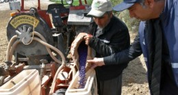 TARSUS Belediyesi Tarım çalışmalarıyla YERLi ve MİLLİ Yağlık AYÇİÇEK Tohumu Ekildi