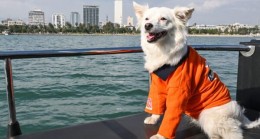 KÖPÜK; ADINI DENİZDEN, DENETİM YETKİSİNİ BÜYÜKŞEHİR’DEN ALDI