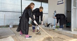 MERSİN BÜYÜKŞEHİR, CAN DOSTLARIN BAKIMINDA GÖNÜLLÜLERDEN DESTEK ALIYOR