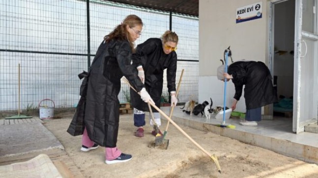 MERSİN BÜYÜKŞEHİR, CAN DOSTLARIN BAKIMINDA GÖNÜLLÜLERDEN DESTEK ALIYOR