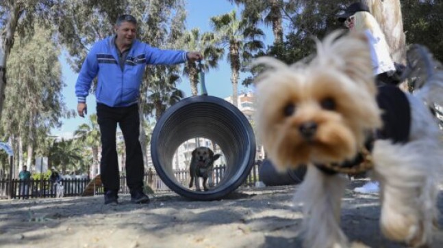 BÜYÜKŞEHİR’DEN PATİLİ DOSTLAR İÇİN ÖRNEK PROJE